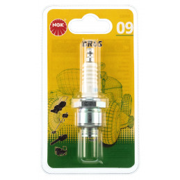 BOUGIE BR6SBL BL1MTCNO9 BLISTER NGK - NGK - Bougie et antiparasite - Jardin Affaires