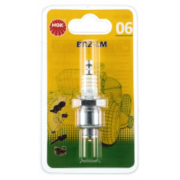 Kerze BR2LMBL BL1MTCNO6 BLISTER - NGK - Kerze und Unterdrücker - Jardinaffaires 