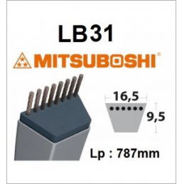 Cinto LB31 MITSUBOSHI - MITSUBOSHI - Cinto Mitsuboshi - Garden Business 