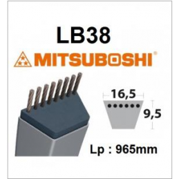 Cinto LB38 MITSUBOSHI - MITSUBOSHI - Cinto Mitsuboshi - Garden Business 