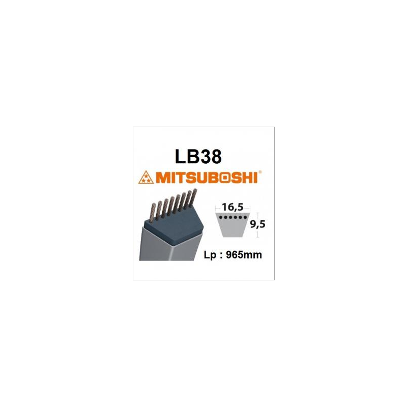 Riemen LB38 MITSUBOSHI