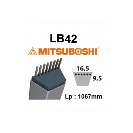 Correa LB42 MITSUBOSHI