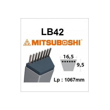 Cinto LB42 MITSUBOSHI - MITSUBOSHI - Cinto Mitsuboshi - Garden Business 