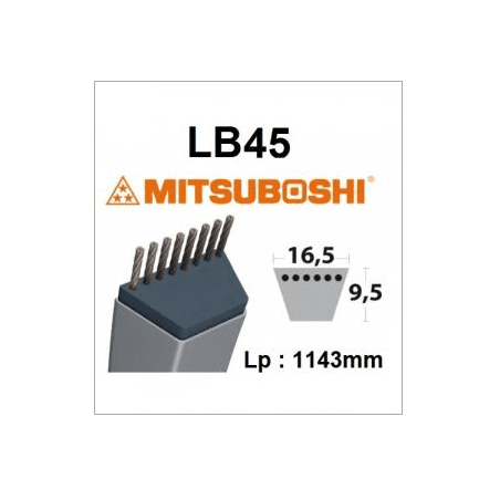 Correa LB45 MITSUBOSHI