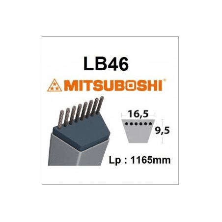 LB46 MITSUBOSHI -Gürtel - MITSUBOSHI - Mitsuboshi-Gürtel - Gartengeschäft 