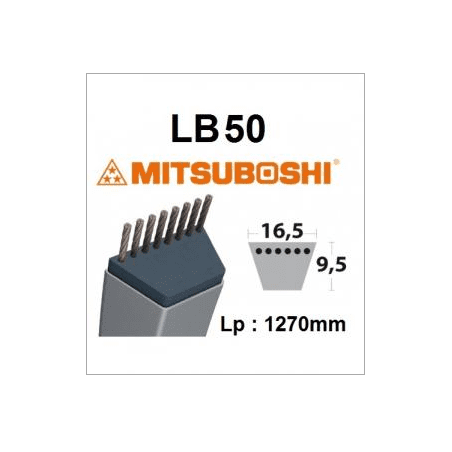 Correa LB50 MITSUBOSHI - MITSUBOSHI - Correa Mitsuboshi - Negocios Jardín 