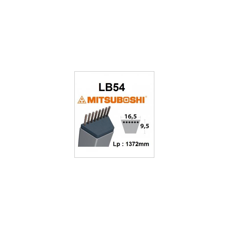 LB54 MITSUBOSHI riem