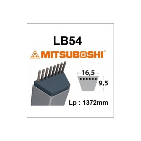 Correa LB54 MITSUBOSHI