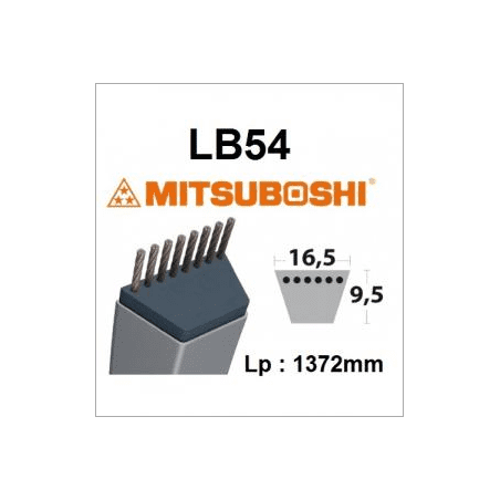 Gürtel LB54 MITSUBOSHI