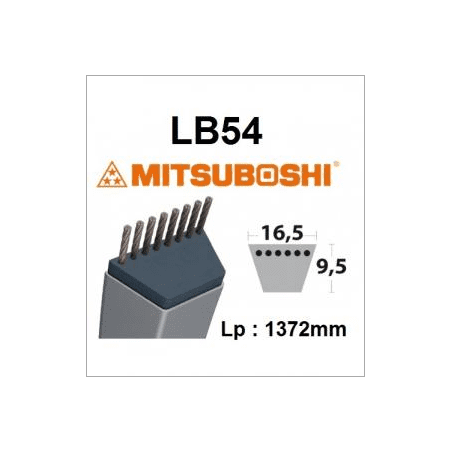 Courroie LB54 MITSUBOSHI - MITSUBOSHI - Courroie tondeuse - Jardin Affaires