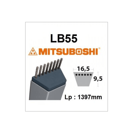 LB55 MITSUBOSHI -Gürtel - MITSUBOSHI - Mitsuboshi-Gürtel - Gartengeschäft 