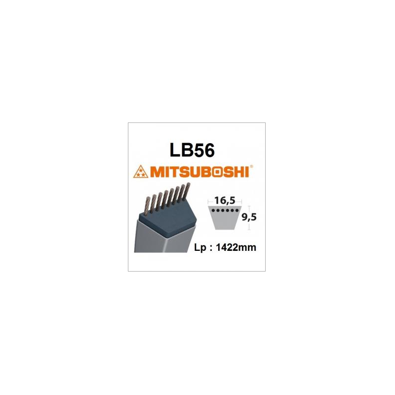 LB56 MITSUBOSHI Belt