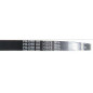 Cintura scarificatore Pilote 88 - SC390 - PIL73866 - PIL73872 - 73866 - 73872 Cintura scarificatore Pilote 88 - SC390 - PIL73866 - PIL73872 - 73866 - 73872