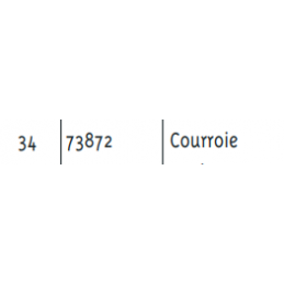 Courroie scarificateur Pilote 88 - SC390 - PIL73866 - PIL73872 - 73866 - 73872 - GGP - Courroie tondeuse - Jardin Affaires