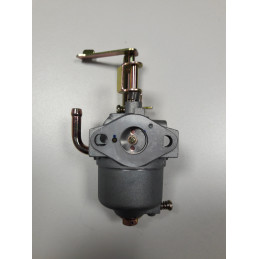 LG/GT/T/R PUBERT CARBURETOR - PUBERT - Carburador - Garden Business 