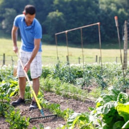 Duopro Rechen 14 gebogene Zähne Em Holz 1m50 LEBORGNE - LEBORGNE - Bodenbearbeitung - Gartengeschäft 