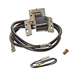 Bobine allumage adaptable Briggs et Stratton 394891, 394895, 590781 - BRIGGS & STRATTON - Allumage - Jardin Affaires