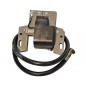 Zündspule Briggs und Stratton 590455, 793353