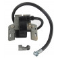 Zündspule Briggs und Stratton 799650, 492341, 490586, 491312, 495859, 591459, 592041, 595304, 690248, 715231, 795315