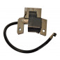 Bobina de encendido Briggs y Stratton 802574, 492416, 493237