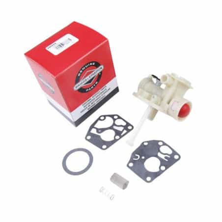 Carburateur Briggs et Stratton 498809, 494407, 498811, 794147