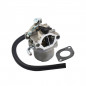 Carburador Nikki Briggs e Stratton 590399, 593432, 794308, 794653, 790021, 790022, 791266, 793227, 794215