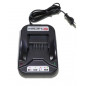 Cargador batería Briggs y Stratton Instart, 593562