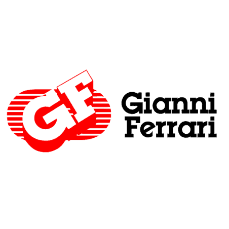 Key switch for Gianni Ferrari / Bieffebi mowers 00777800222 - BIEFFEBI - Air filter - Garden Business 