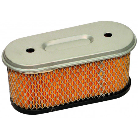 Filtro de aire Briggs & Stratton 491021