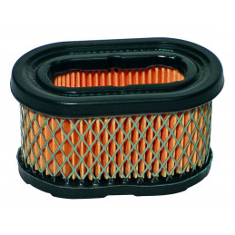 Filtro de aire Briggs & Stratton 494586, 497725 - JARDIN AFFAIRES - Filtro de aire - Jardinaffaires 