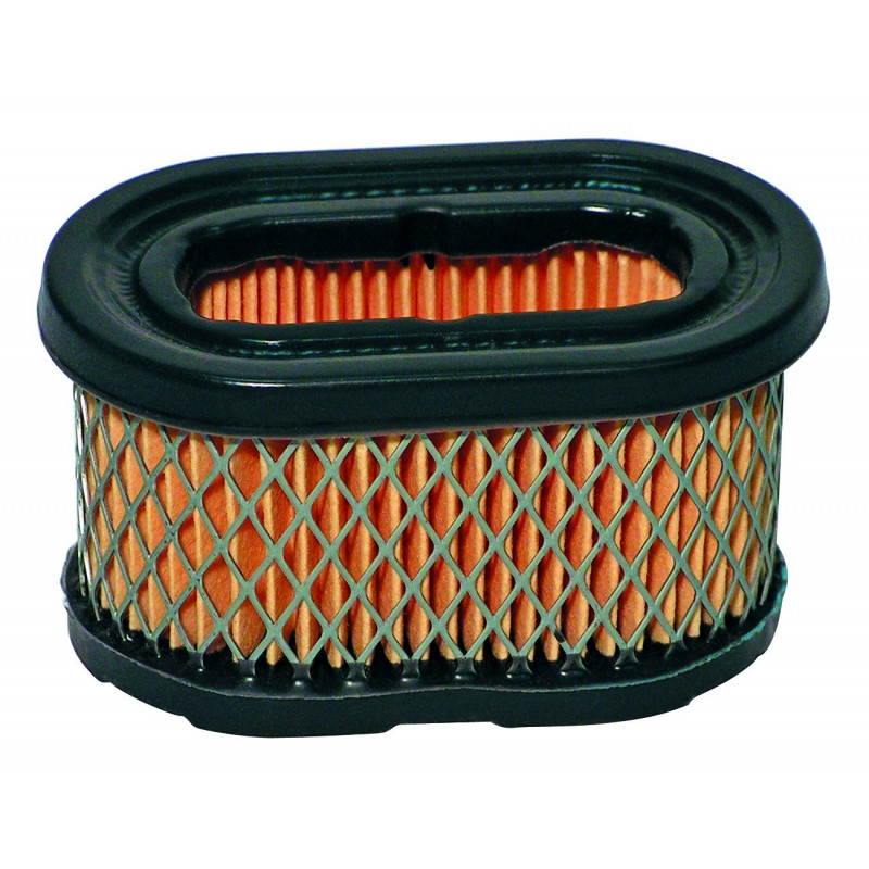 Filtre à air Briggs & Stratton 494586, 497725 0643664697898