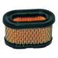 Filtro de aire Briggs & Stratton 494586, 497725