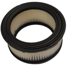 Filtro de aire Briggs and Stratton 392286 - BRIGGS & STRATTON - Filtro de aire - Garden Affairs 