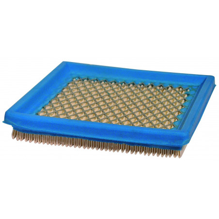 Filtre à air Briggs et Stratton 399877 - DS - Filtre à air - Jardin Affaires