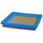 Filtro dell'aria Briggs e Stratton 399877