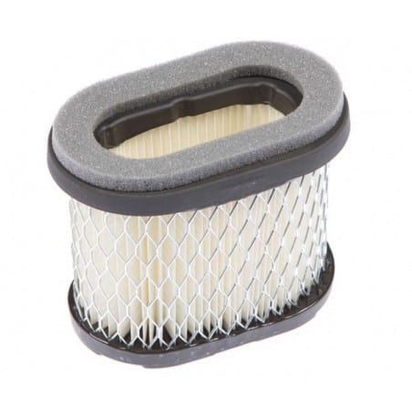 Briggs and Stratton air filter 697029 - BRIGGS & STRATTON - Air filter - Garden Affairs 