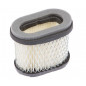 Briggs and Stratton 697029 air filter