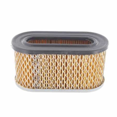 Filtro de aire Briggs y Stratton, 491950, 491950S