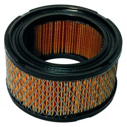 Filtro aria Kohler 231847, Tecumseh 31925, John Deere AM30800, Gravely 15373 - JARDIN AFFAIRES - Filtro aria - Jardinaffaires