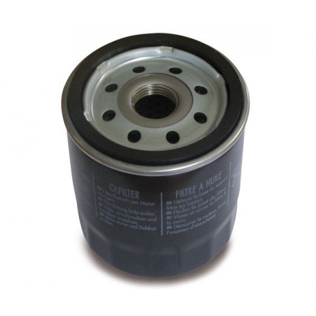 Filtre à huile Briggs et Stratton 491056 - BRIGGS & STRATTON - Filtre à huile - Jardin Affaires