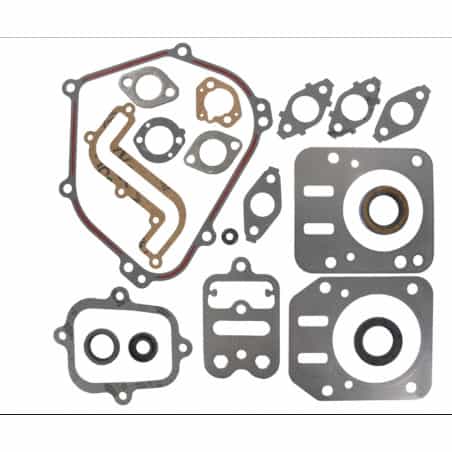 Kit joints moteur Briggs and Stratton 791797 - BRIGGS & STRATTON - Joint de Culasse - Jardin Affaires 