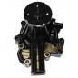 Wasserpumpe Shibaura 145017770