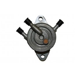 Pompe à essence métallique moteur Briggs et Stratton, 491922, 808656, 692026 - JARDIN AFFAIRES - Pompe - Jardin Affaires 