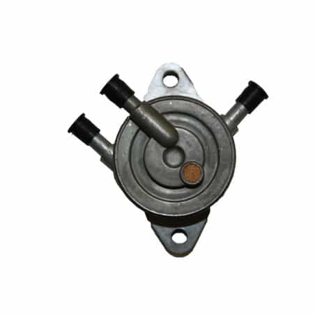 Pompe à essence métallique moteur Briggs et Stratton, 491922, 808656, 692026 - DS - Pompe - Jardin Affaires