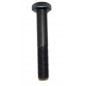Mesbout Delmorino 12x75, versnipperaar, Funny, Flipper, Centurion - 40100148 Mesbout Delmorino 12x75, versnipperaar, Funny, Flipper, Centurion - 40100148