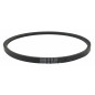 Cinghia scarificatore Pilote 88 - S400E - S400T - S400B - S400H - S393E - 72321