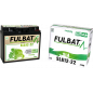 BATERÍA SLA 12-22 SELLADA 12V 23.1 Ah 182-77-168 - / +