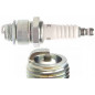 REMOVABLE B7S OLIVE SPARK PLUG NGK