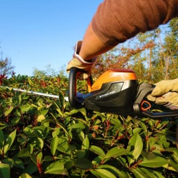 Taille-Haie Yard Force LH G60W - GR40 60cm - (sans batterie) - YARD FORCE -  - Jardin Affaires