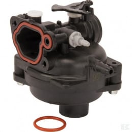 CARBURADOR 595656 BRIGGS & STRATTON - BRIGGS & STRATTON - Carburador - Garden Business 